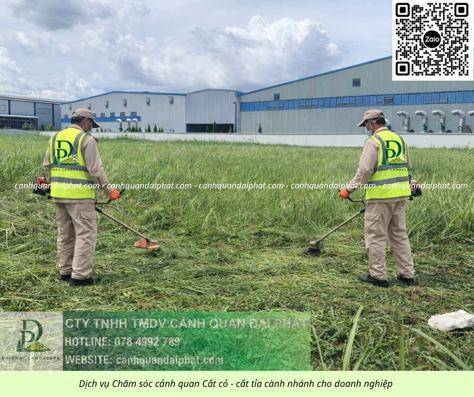 0. Dịch vụ cưa cây cắt cỏ doanh nghiệp đồng nai 050226 1.jpg