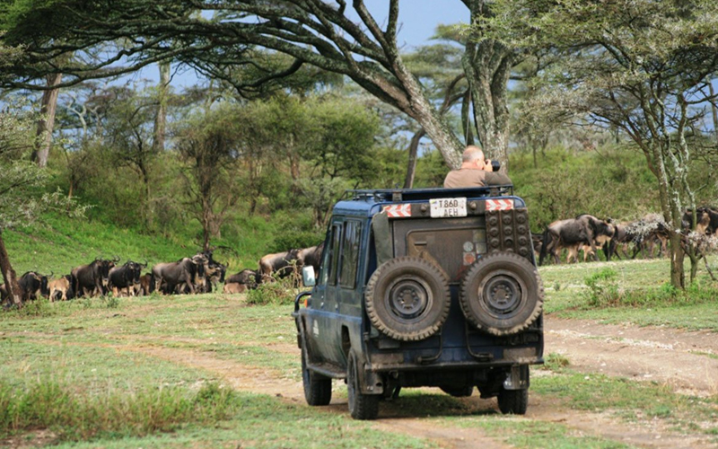 10 Best Things You Need to Plan a Tour Safari Tanzania.jpg