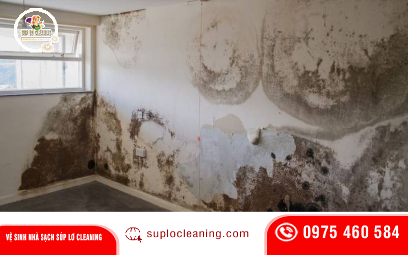 Vì sao tường nhà tại Cầu Giấy dễ bị ẩm mốc?