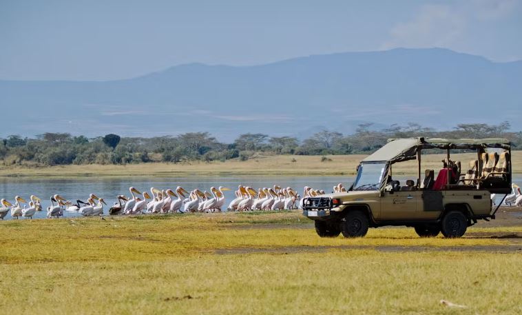 5-Day Best of Kenya Safari Tour Experience.jpg