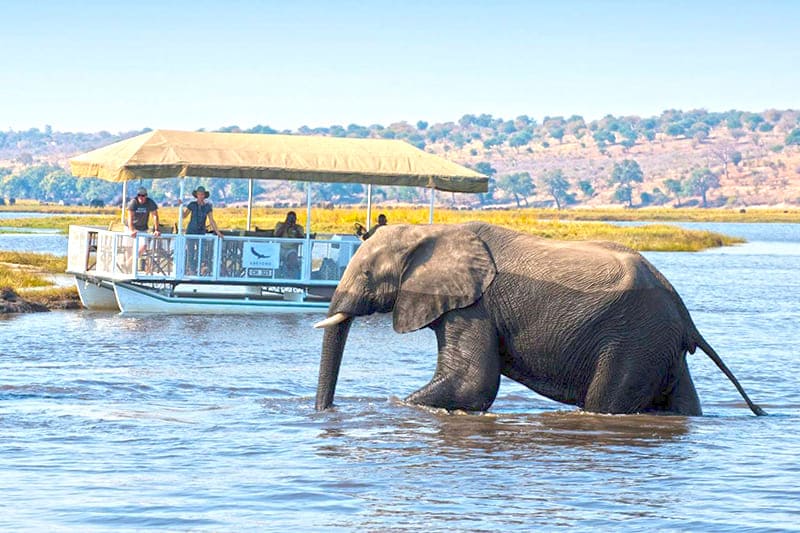 7 Day Safari in Botswana and Victoria Fall Adventure.jpg