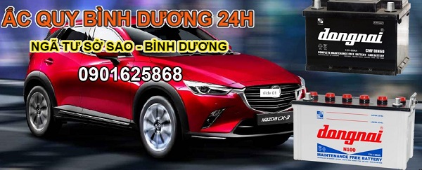 ac quy.jpg