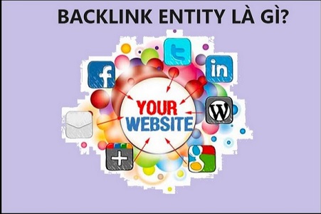 backlink entity là gì.jpg backlink entity là gì.jpg