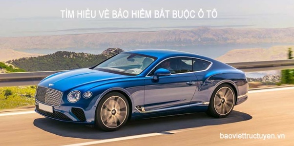 baoviettructuyen5.jpg