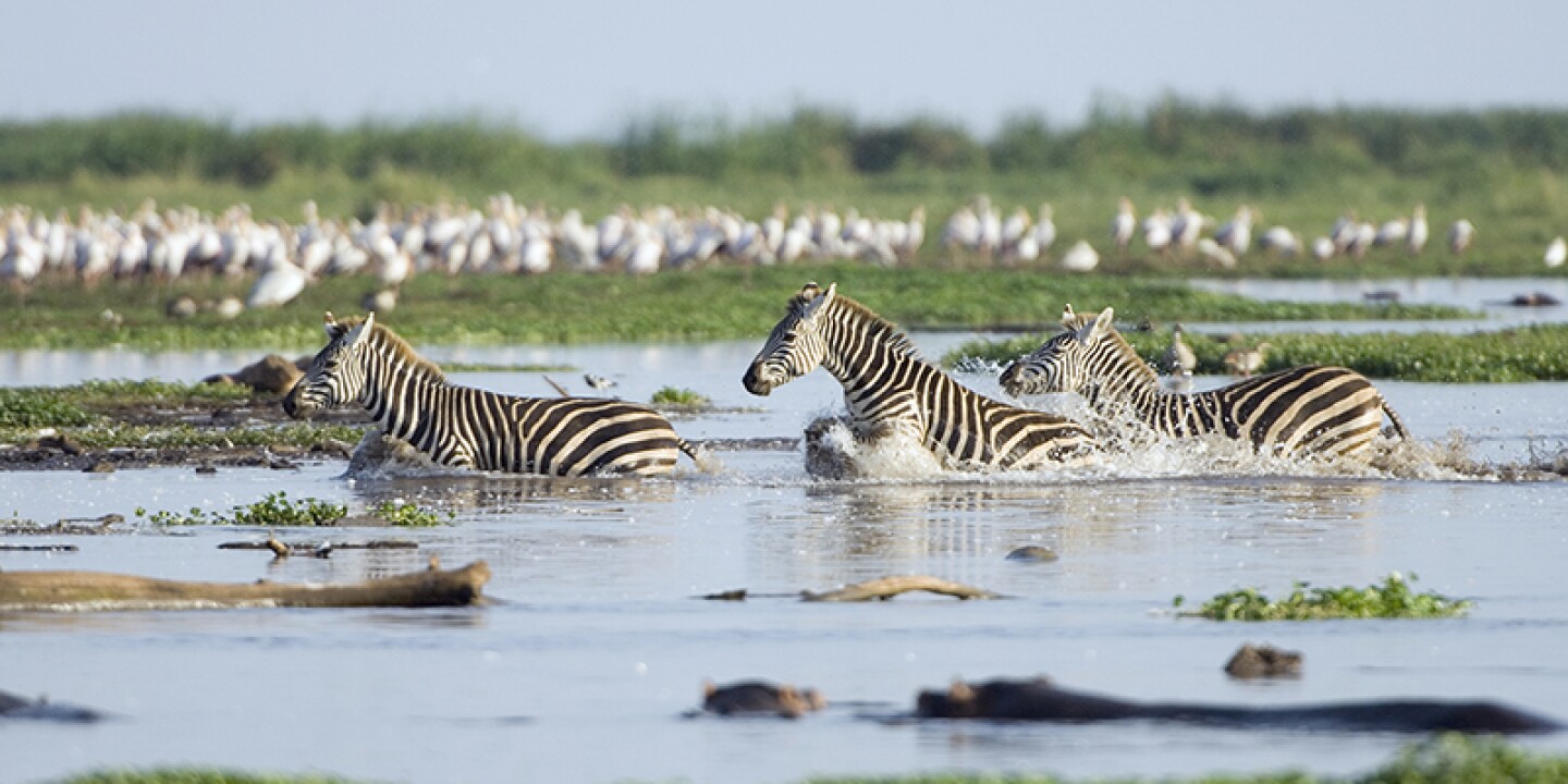 Best 20 Tanzania tours and safaris packages with best combos.jpg