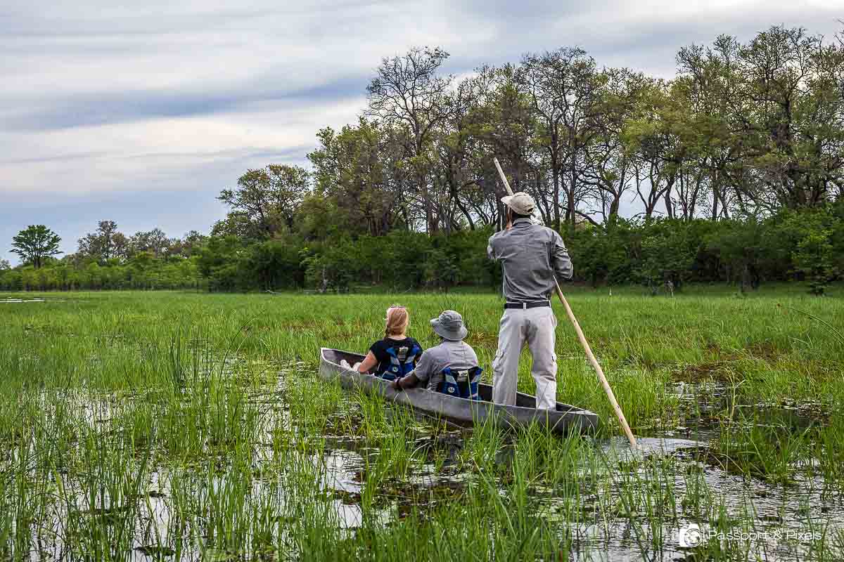 Best 5 Affordable Botswana Safari Deals.jpg