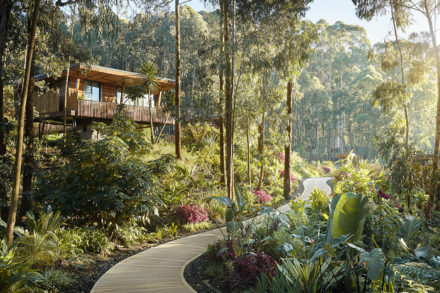 Best 8 Reasons for Booking Luxury Rwanda Safaris.jpg
