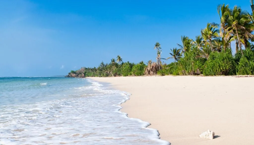 Best activities to do at Diani beach during Kenya safari holidays.webp