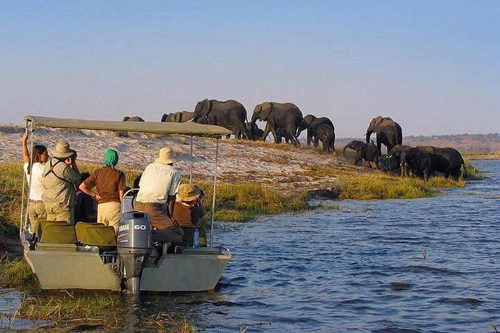 Best Tanzania Safari Tours Activities in Nyerere National Park.jpg