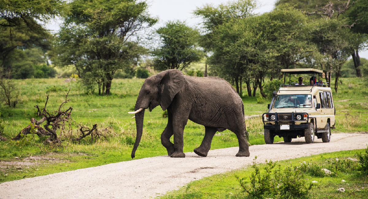 Best time for best Tanzania safari and Zanzibar beach tour.jpg