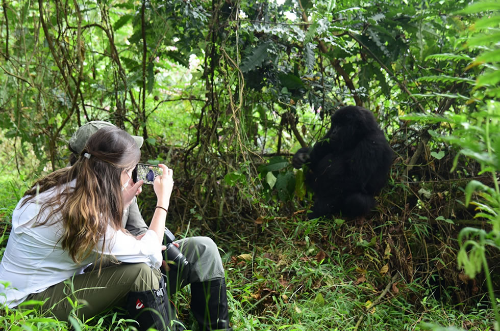 Best Time of Day Gorillas Are Active for Rwanda Gorilla Treks.jpg