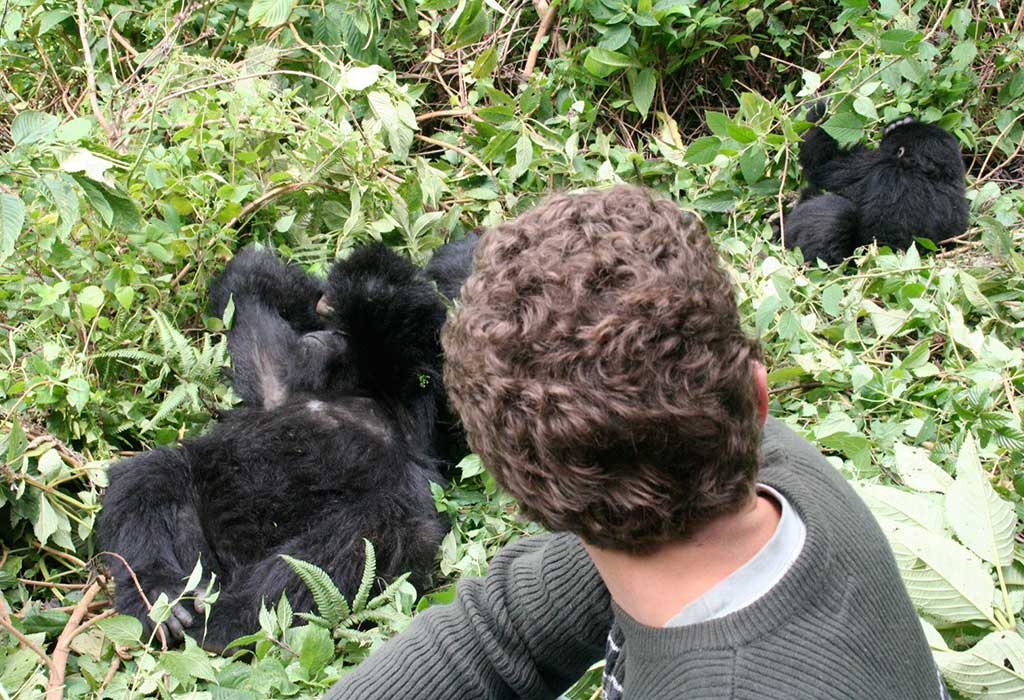 Best Tips for Visiting Gorillas on Rwanda Safari.jpg