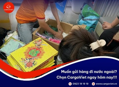 cargo viet8.jpg