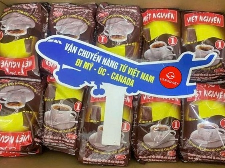 cargo viet9.jpg