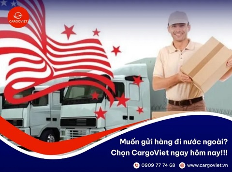 cargoviet.jpg