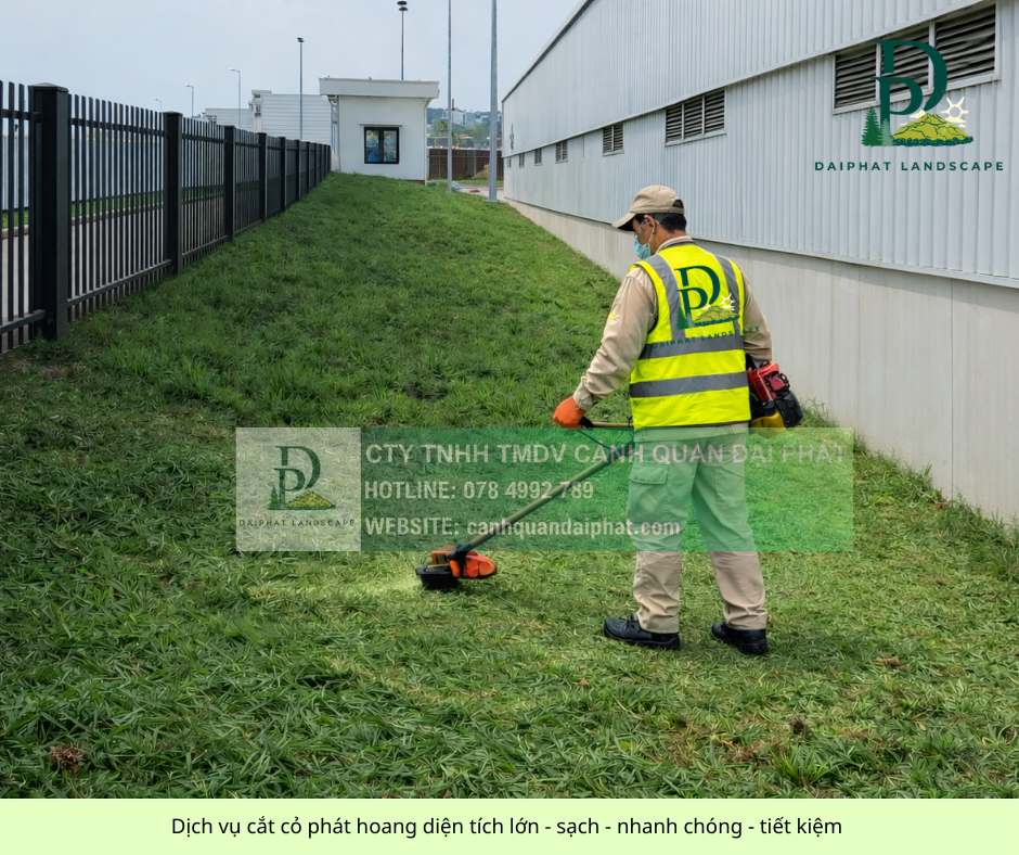 cắt cỏ phát hoang diện tích lớn - nhanh chóng - tiết kiệm 180326 4.jpg