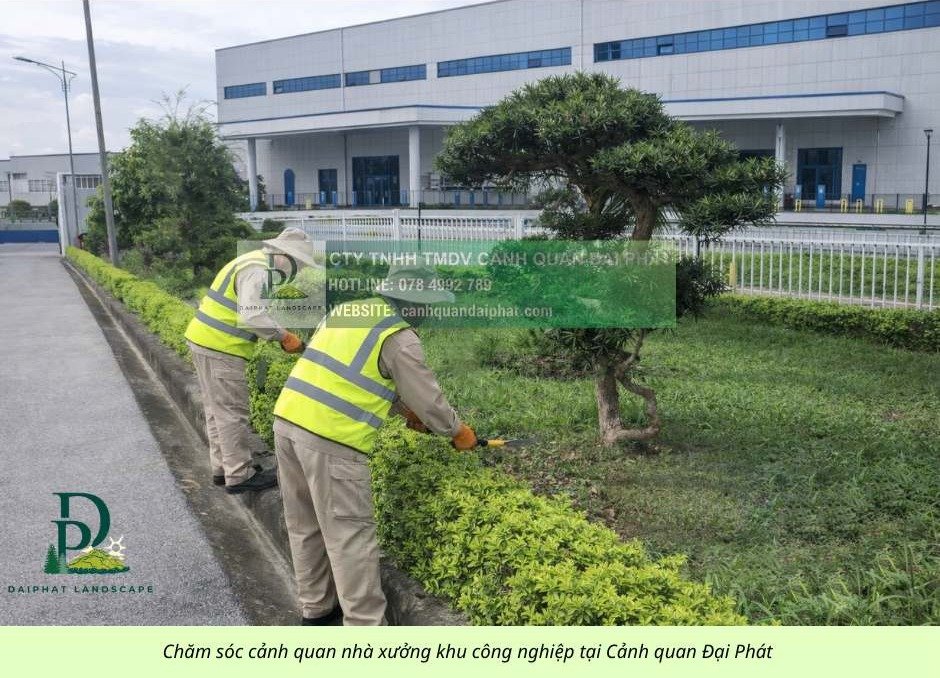 chăm sóc cảnh quan công ty nhà xưởng khu công nghiệp 090226 4.jpg