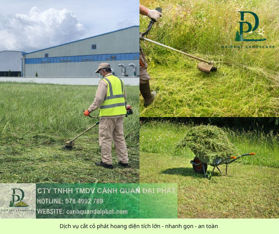 chăm sóc cảnh quan sân vườn cắt cỏ cắt tỉa 210426 1.jpg