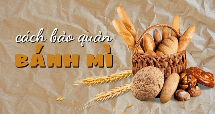 chong-moc-banh-mi-3.png