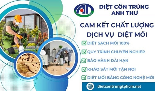diet moi2.jpg