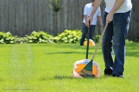 Dog Poop Cleanup Service 3.webp