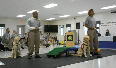 Dog Trainer Service 2.webp