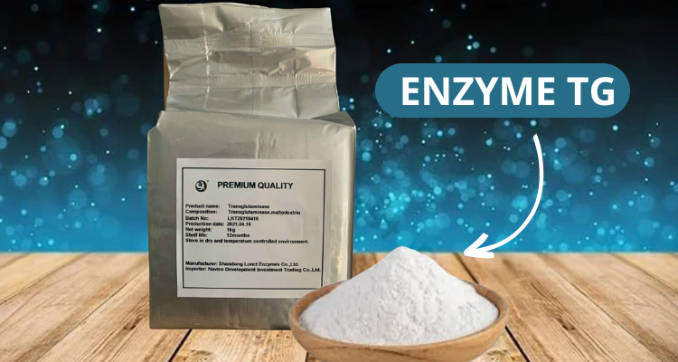 enzyme-tg-1.png