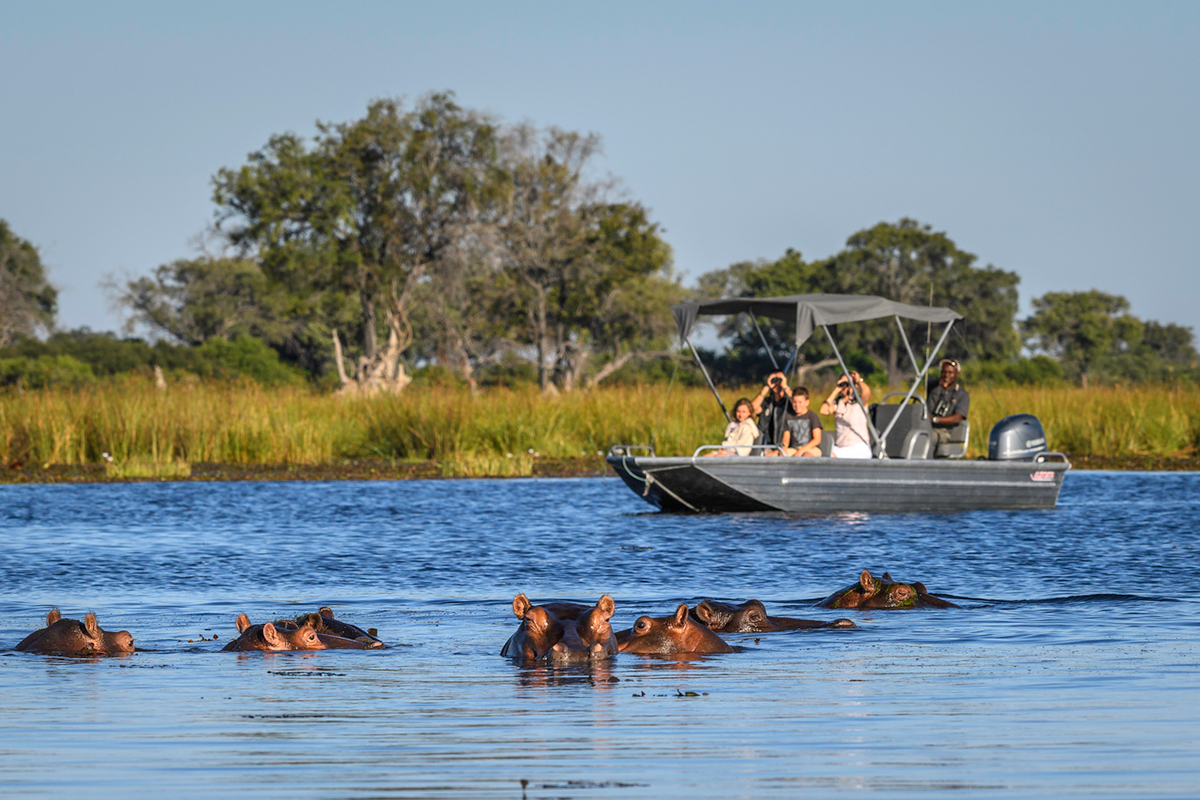Famous Okavango Delta The Top Adventures in Botswana.jpg