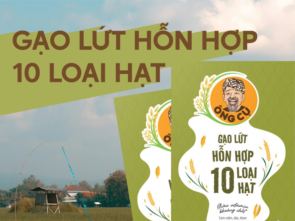 gao-lut-hon-hop-10-loai-hat (2).jpg
