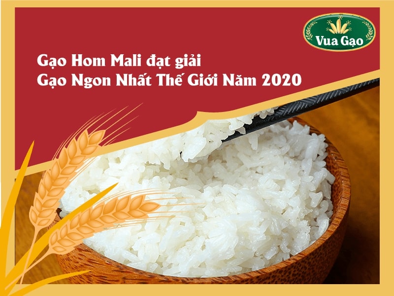 GẠO_HOM_MALI_MUA_Ở_ĐÂU.jpg