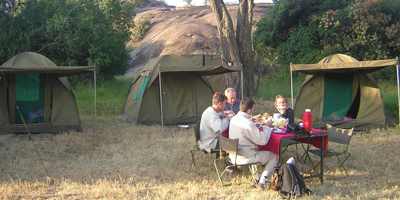 How to plan a budget safari Tanzania.jpg