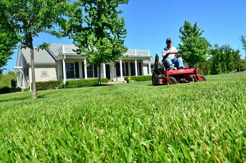 Lawn Services.webp
