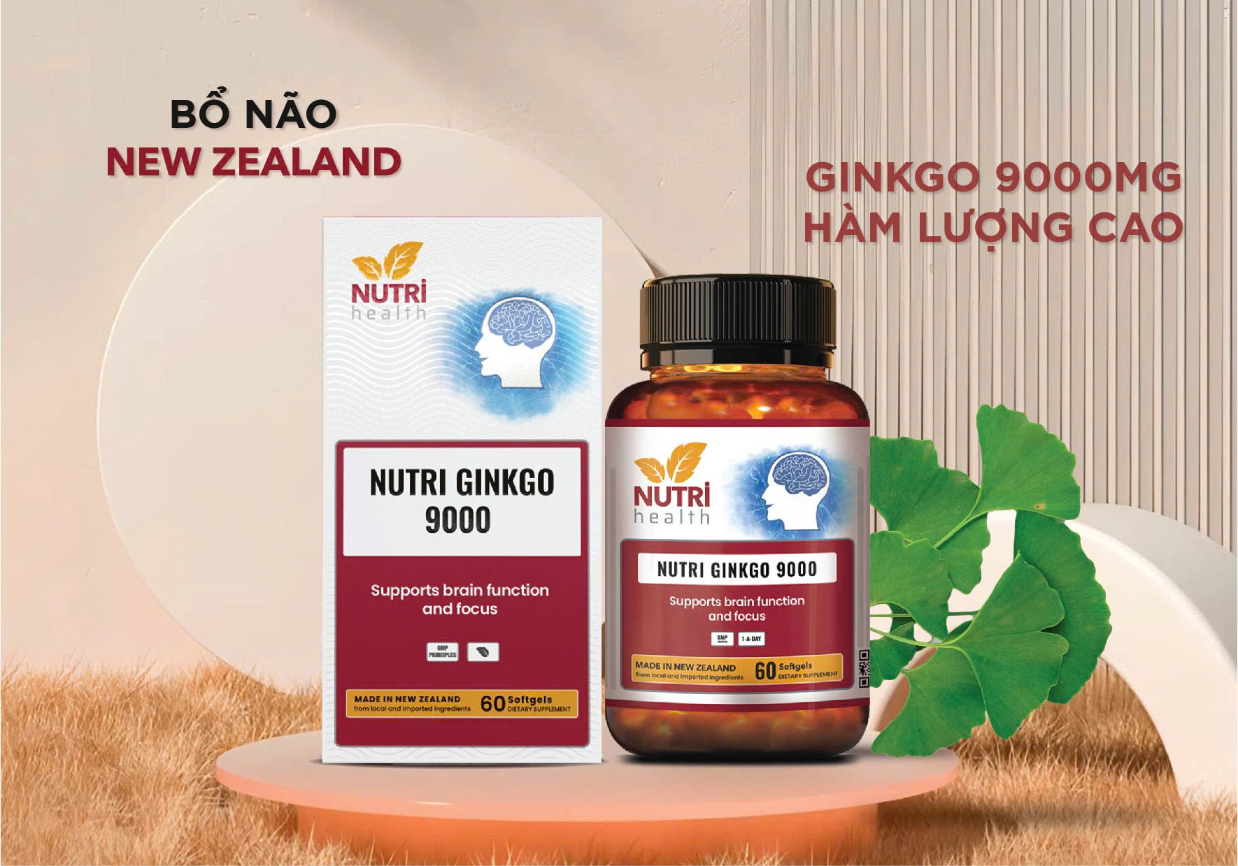 nutri ginkgo.jpg