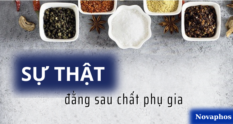 phu-gia-1.png