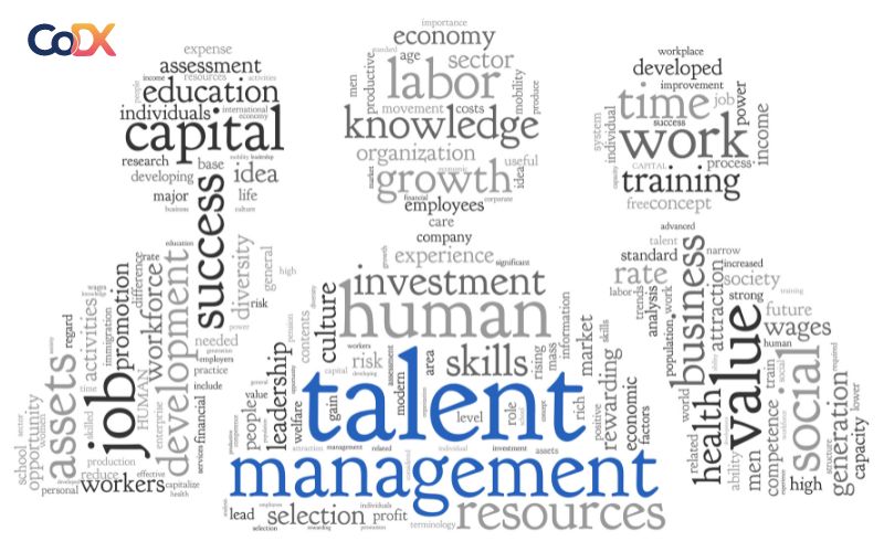 Talent-management-la-gi-1.jpg