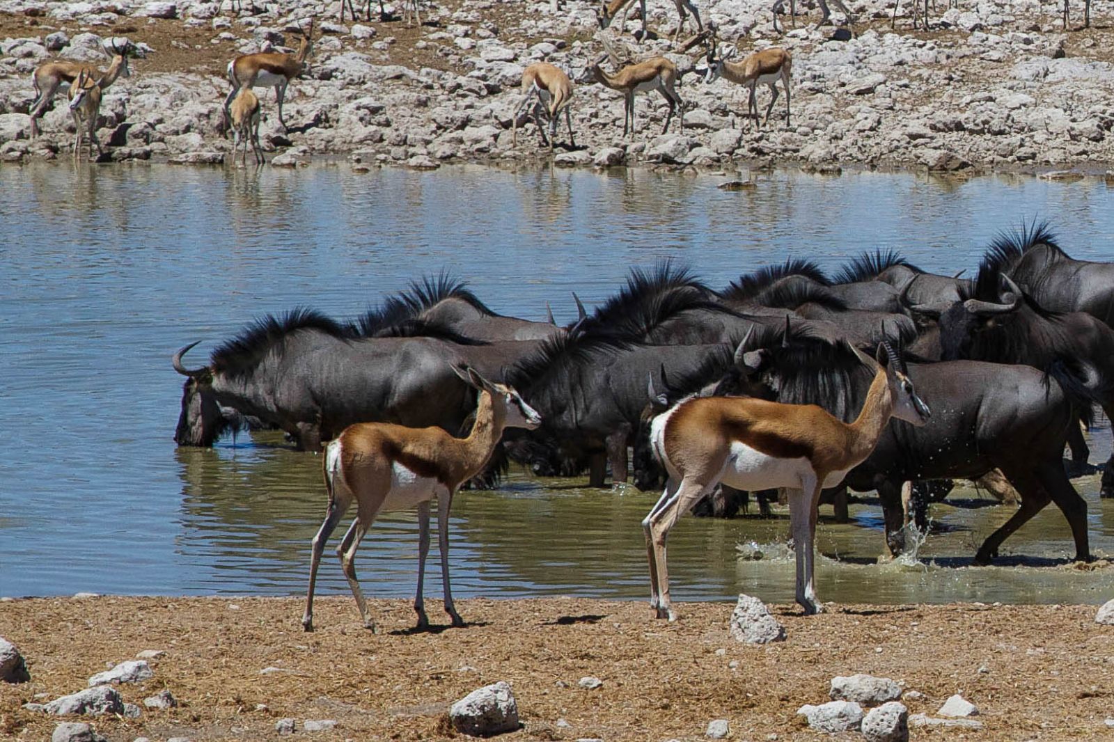 The Most Adventurous Activities on Tanzania wildlife tours.jpg