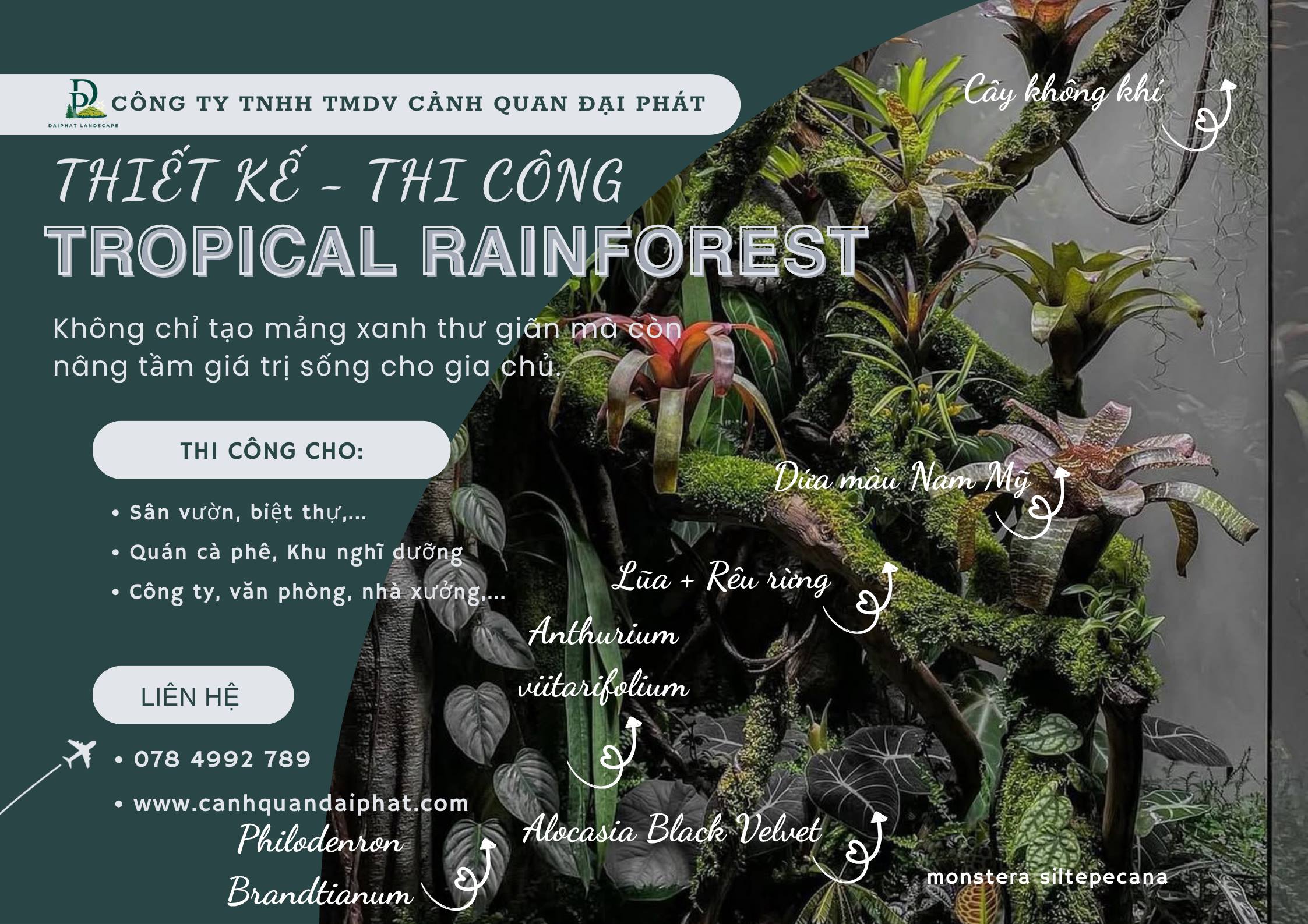 Thiết kế thi công sân vườn nhiệt đới 240426 2.jpg