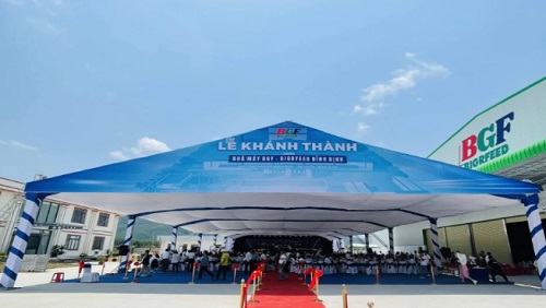 tochucsukien.jpg tochucsukien.jpg