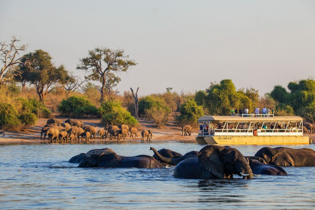 Top 5 safari destinations to visit on Botswana safari.jpg
