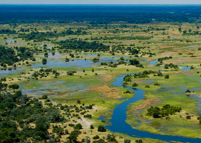 Top 7 Things to Know About Okavango Delta Before a Botswana Safari Trip.jpg