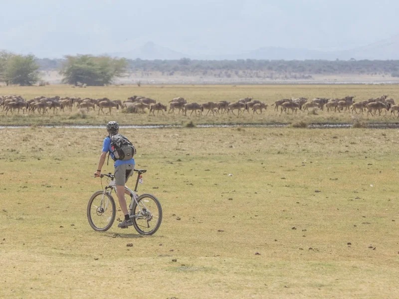 Top 8 Best Experiences on Tanzania Safari Holiday.jpg