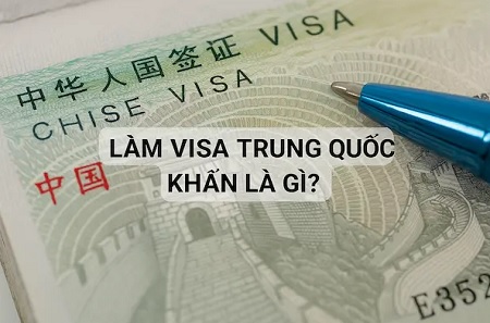 vietcargo link 4.jpg