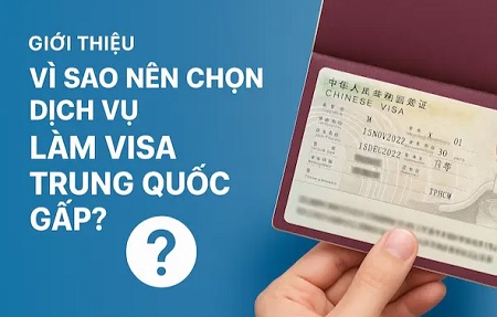 vietcargo link 6.jpg