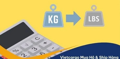 vietcargo3.jpg