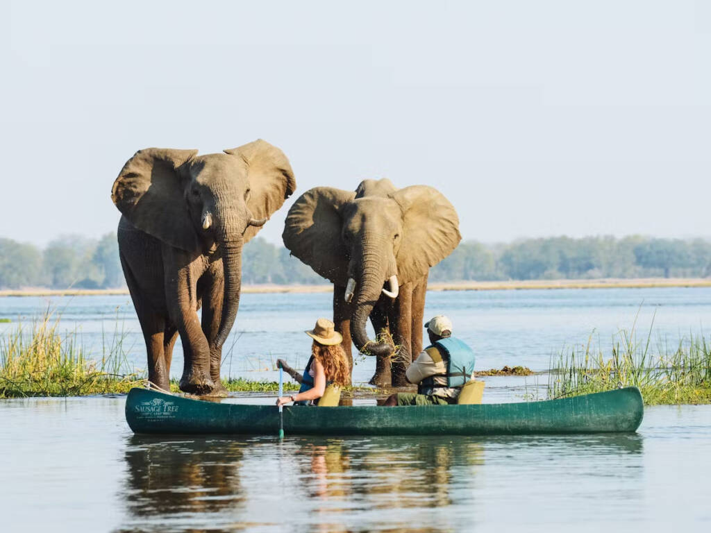 Why mokoro safari so unique on Botswana safaris.jpg