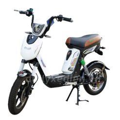 xe dap dien2.jpg