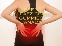 Serena Leafz CBD Gummies Canada.jpg