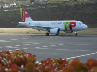 TAP Air Portugal Natal.jpg