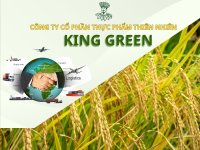 công_ty_xuất_khẩu_gạo_King_Green.jpg