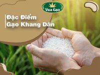 dac-tinh-gao-khang-dan.jpg